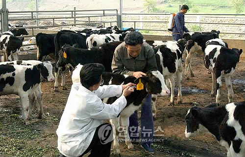 평양의 축산협동조합