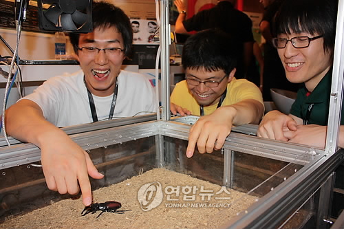 `IT올림픽 이매진컵서 우승한 한국팀 와프리
