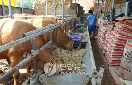 횡성군의회, 횡성한우 보호.육성 조례 추진