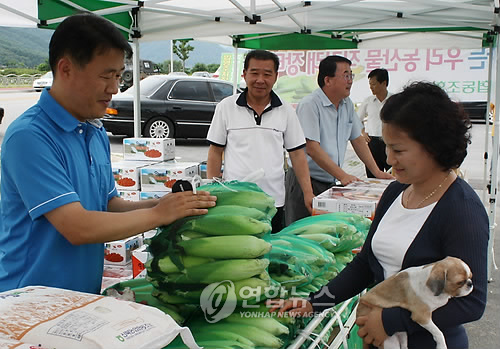 102보충대 앞에 농산물 직거래 장터 등장