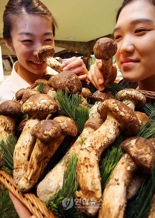 자연산 송이 맛보세요~