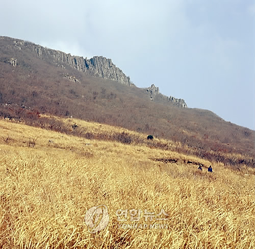 광주시민 5만6천명이 무등산을 샀다?