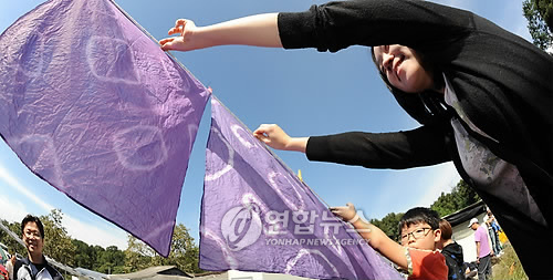 푸른 하늘 포도 염색