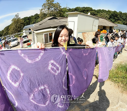 푸른 하늘 포도 염색