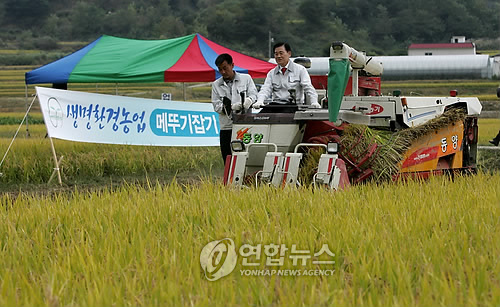 고성 들녘서 `생명환경농업 쌀 수확