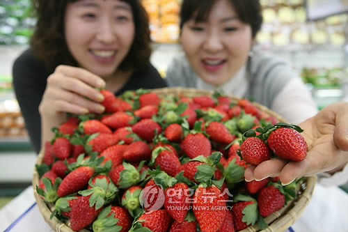 (주)농협유통, 딸기 첫 선 보여