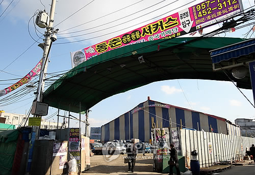 한국 첫 곡예단 동춘서커스단 해체 안한다