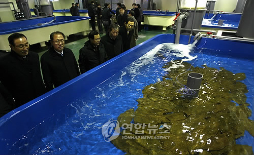 수출용 활어.패류 항공 물류센터 개소