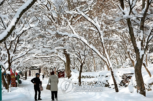 내장산 은빛 세상