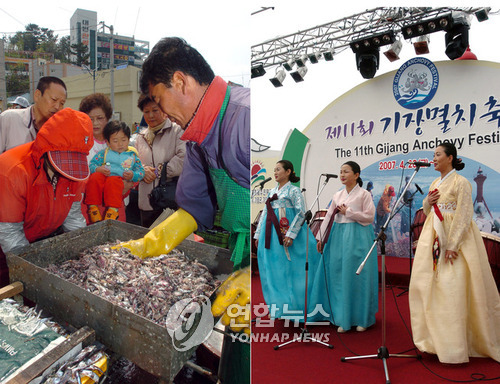 부산 기장군 특산물 멸치젓갈 명품된다