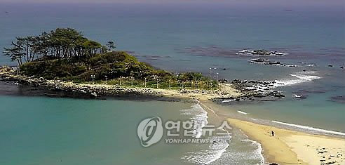 울산 진하-명선도 바닷길 올해도 모세의 기적