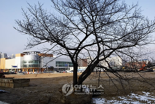 대형 유통점 잇단 춘천 진출..뿌리 뽑힌 지역상권