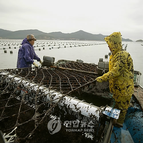 서천 김 특화단지 조성사업 지지부진