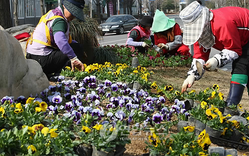 봄맞이 꽃단장