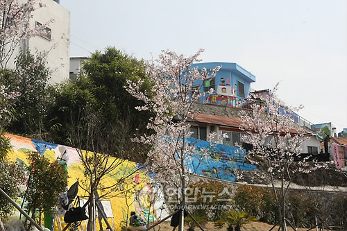 봄맞아 새옷 갈아입는 `벽화마을 통영 동피랑