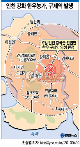 인천 강화 한우농가, 구제역 양성(종합)