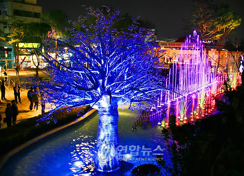 삼척시 대학로의 화려한 변신