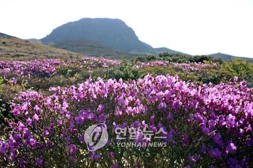 한라산 둘레길 생긴다
