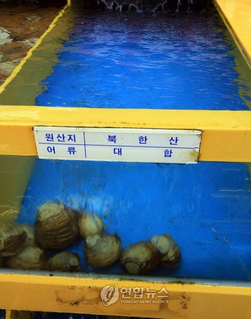 속초항 北 수산물 반입중단..조개값 폭등 조짐