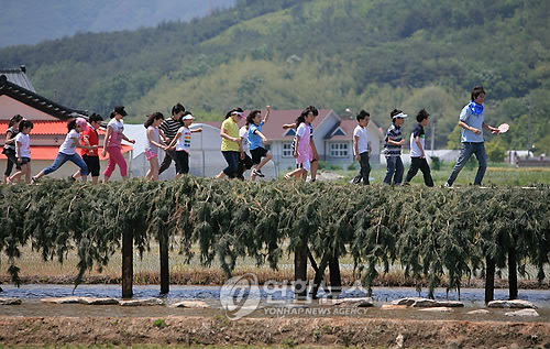 섶다리 건너며 추억을 건너요