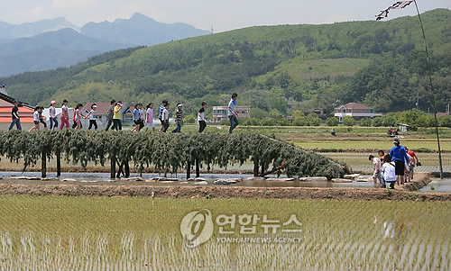섶다리 건너며 추억을 건너요