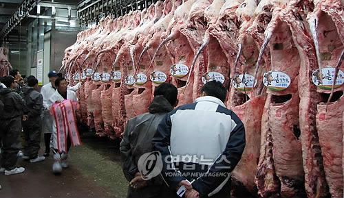 홍성한우 품평회