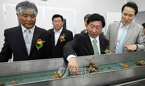 서산 생강 가공.유통센터 준공