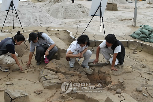 복숭아씨가 박힌 단야로
