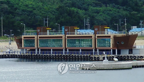 동해 대진항 활어회 센터 본격 운영