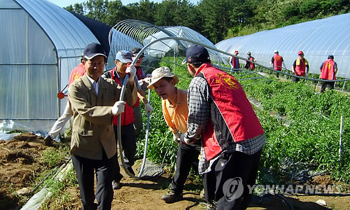 대전농협 직원들, 태풍피해 인력지원