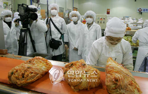 포장김치시장 주도 횡성 종가집 김치공장 비상
