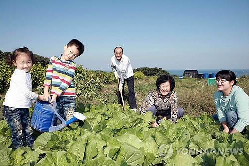 배춧값 걱정없어요..현대중 임직원 주말농장