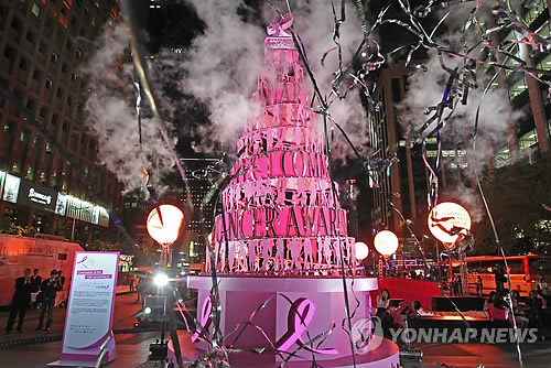 유방암 없는 세상 핑크리본 캠페인 10주년