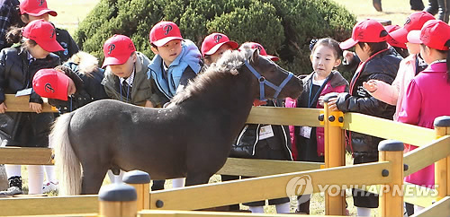 서울경마공원 포니랜드 개장