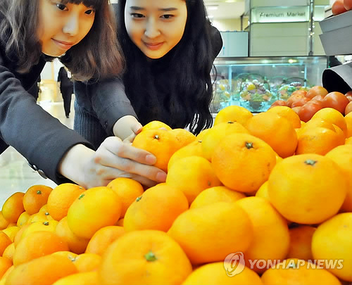 겨울 먹거리는 밀감