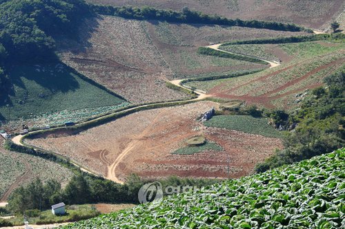 태백 배추고도 귀네미마을로 산촌체험 오세요