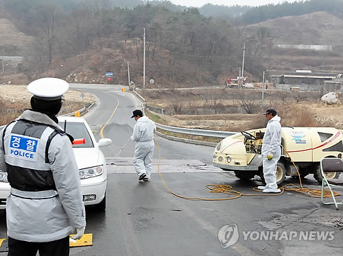 안동서 7번째 구제역 의심신고..확산 양상(1보)