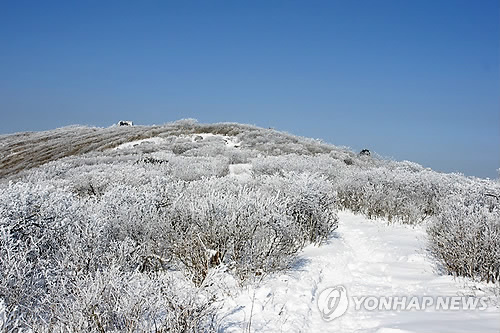태백산 은빛 세상 변신