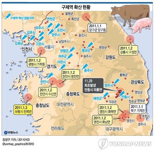보령 소.돼지 축산농가서도 구제역 발생(종합)