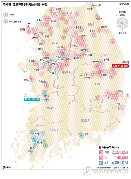 천안 육용오리 농장 고병원성 AI 확진