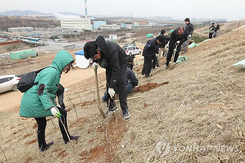 수도권매립지에 나무를 심자