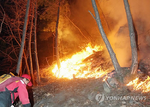 춘천 금병산 등산로서 산불..0.5ha 소실