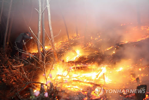 춘천 금병산 등산로서 산불..0.5ha 소실