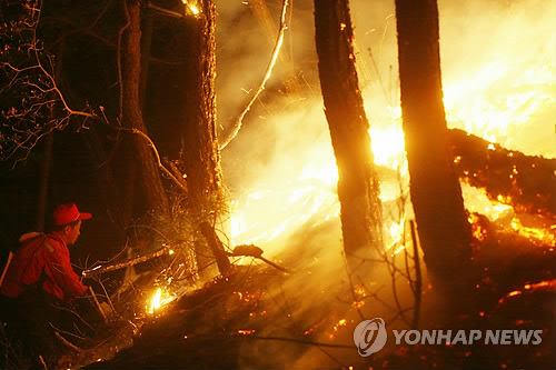 춘천 금병산 등산로서 산불..0.5ha 소실