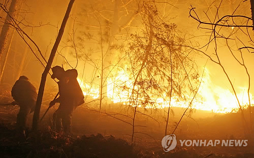 춘천 금병산 등산로서 산불..0.5ha 소실