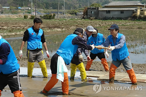 석유公, 못자리판 설치 봉사활동