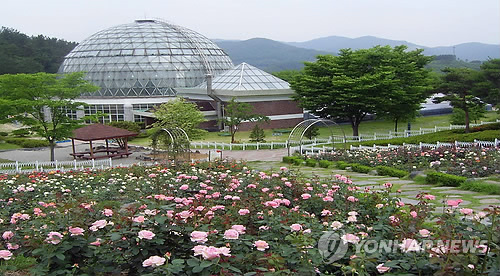 장미로 뒤덮힌 공주 금강수목원
