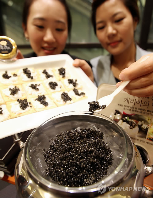 귀한 캐비아 맛보러 오세요