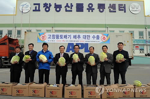 고창 황토배기배추 대만에 수출