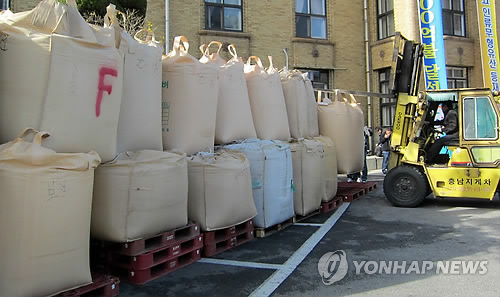 도청앞 야적된 나락들